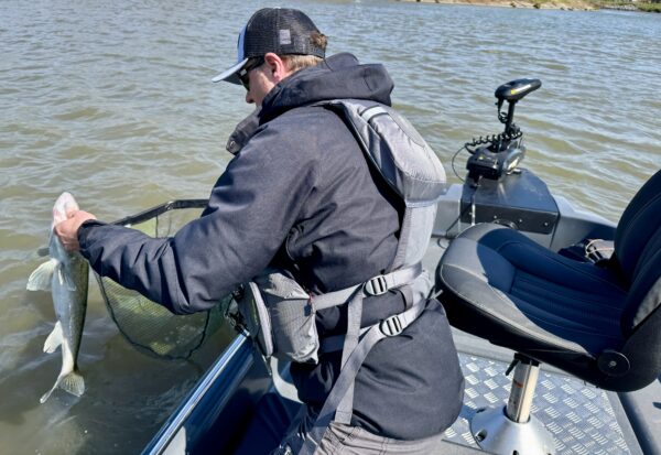 ROTO 450 S Fishing horgász hajó - Image 7
